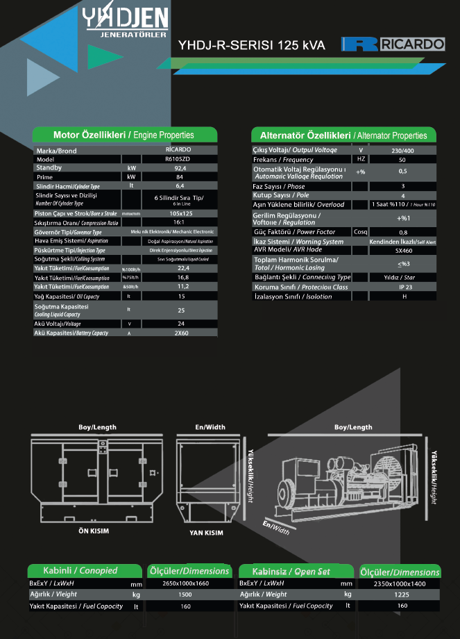 125 KVA OTOMATİK KABİNLİ DİZEL JENERATÖR SET RİCARDO